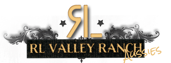 RL Valley Ranch Aussies